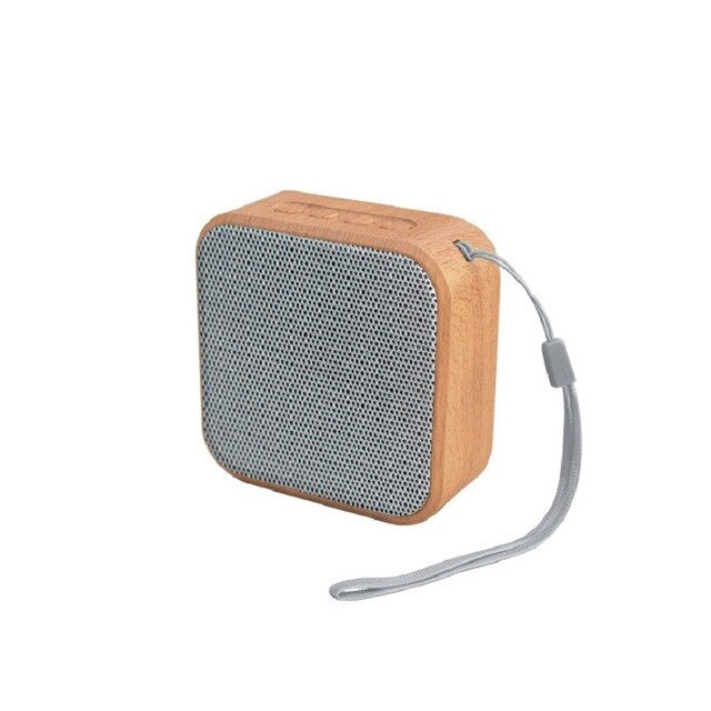 Portable Speaker